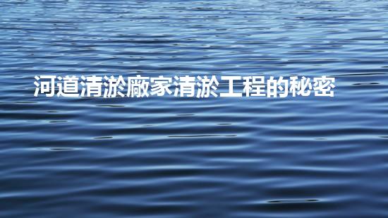 河道清淤廠家清淤工程的秘密：你不明白的施工技術和效果揭秘！